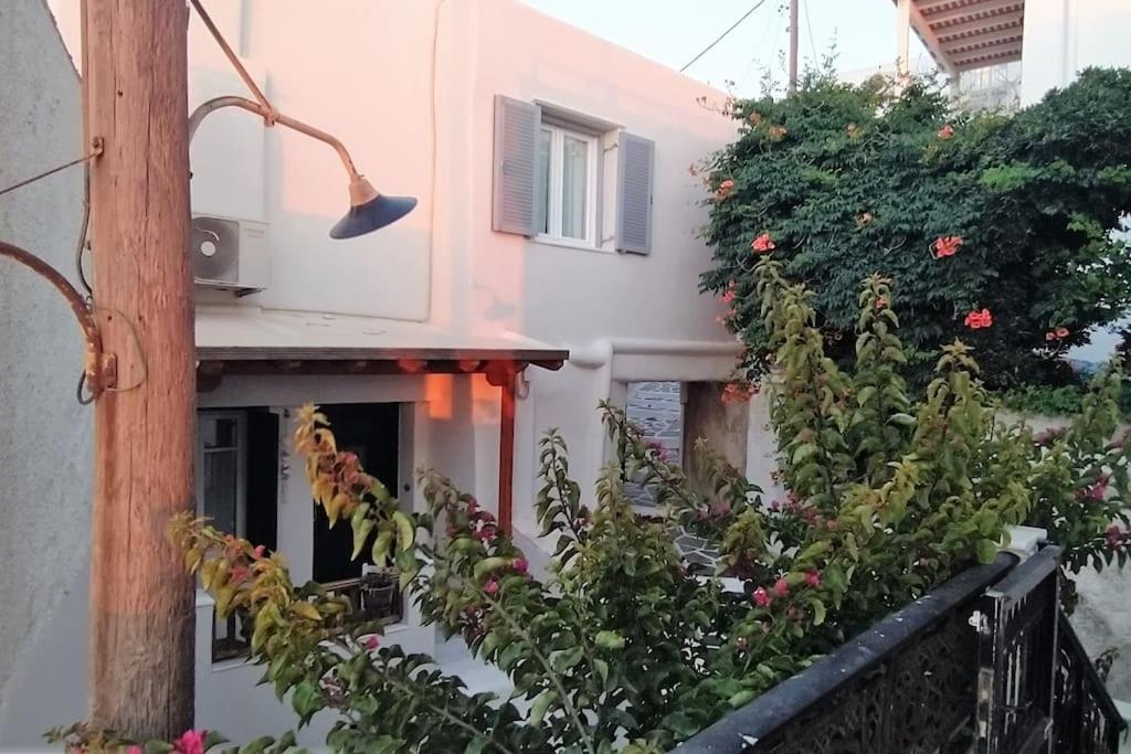 Naxion Esti - Διαμονή Στην Παλιά Χώρα Της Νάξου Villa Naxos City Eksteriør billede