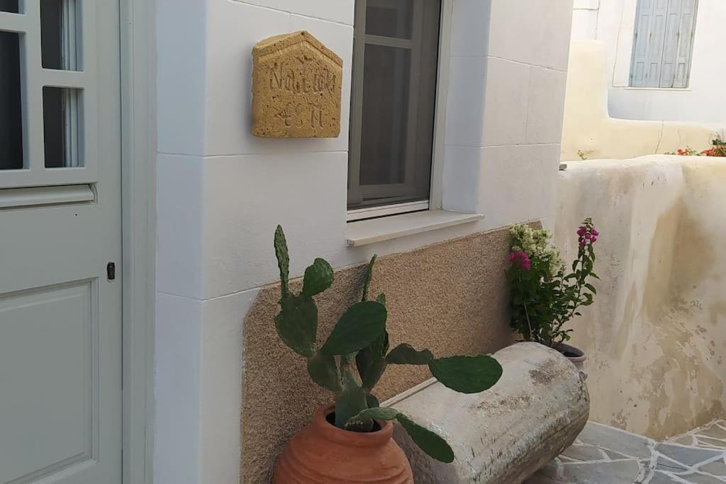 Naxion Esti - Διαμονή Στην Παλιά Χώρα Της Νάξου Villa Naxos City Eksteriør billede